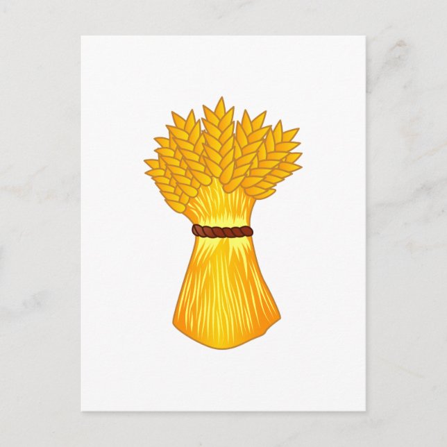 Cartão Postal Pacote de Trigo (Frente)