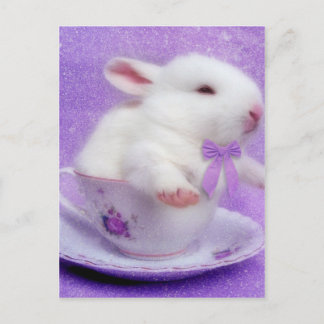 Cartão Postal Pacote Roxo De Alegria