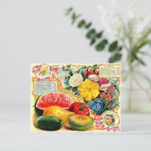 Cartão Postal Pacote Vintage Seed.