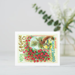 Cartão Postal Pacotes de Semente.