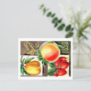 Cartão Postal Pacotes de Semente.