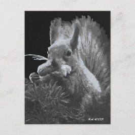 Cartão Postal Paddy Cake, Esquilo