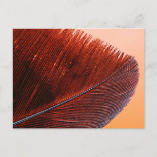 Cartão postal padrão