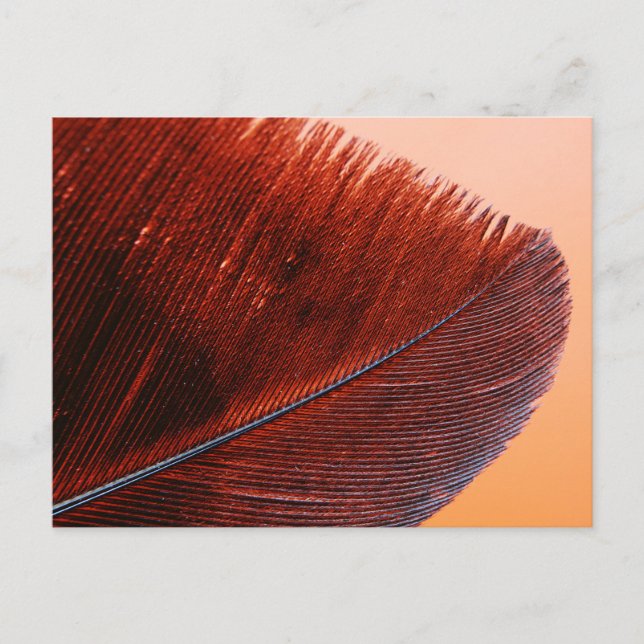 Cartão postal padrão (Frente)