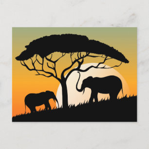 Cartão Postal Padrão