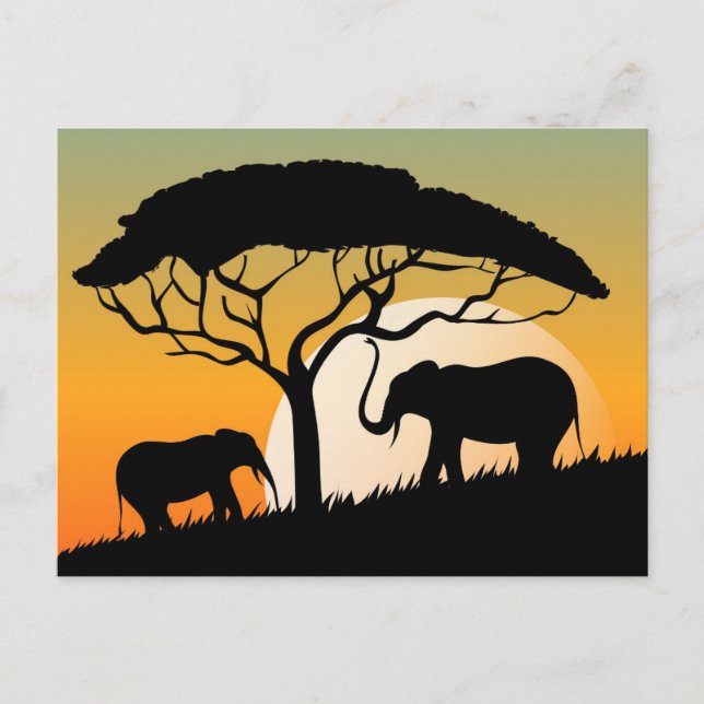 Cartão postal padrão (Frente)