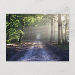 Cartão postal padrão