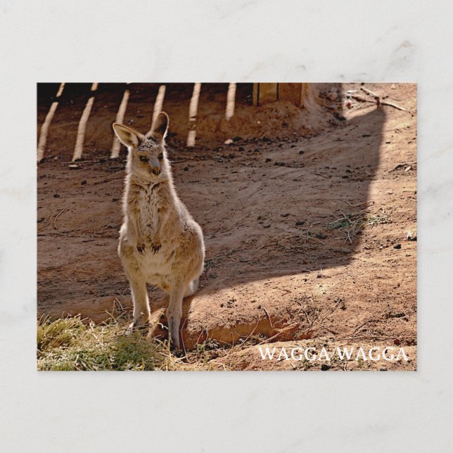 Cartão postal padrão (Frente)