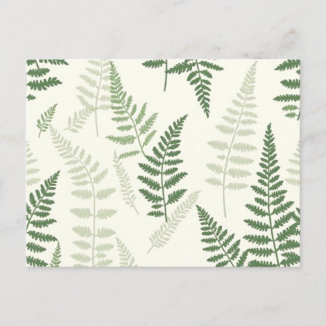 Cartão Postal Padrão Botânico Elegante Verde Fern Fronds (Frente)