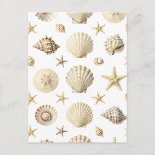 Cartão Postal Padrão contínuo de estrela-do-mar e conchas marinh
