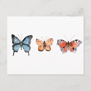 Cartão Postal Padrão da borboleta