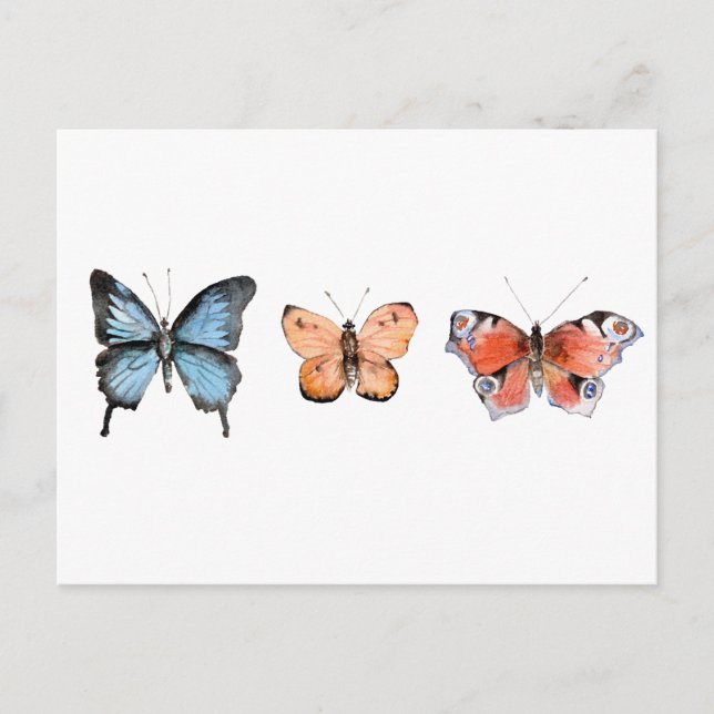 Cartão Postal Padrão da borboleta (Frente)