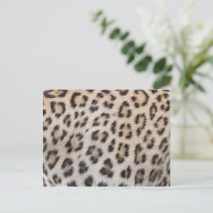 Cartão Postal Padrão de estampa de pele de leopardo chita elegan