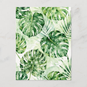 Cartão Postal Padrão de Folhas de Palmeira Tropical Monstera em