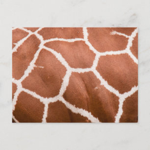 Cartão Postal Padrão de Girafa