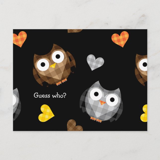 Cartão Postal Padrão De Hoot Owl Verificado Adorável (Frente)
