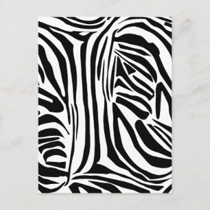 Cartão Postal Padrão de impressão de zebra preto e branco em neg
