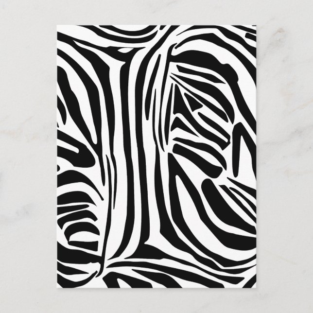 Cartão Postal Padrão de impressão de zebra preto e branco em neg (Frente)