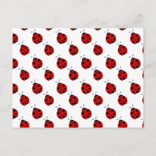 Cartão Postal Padrão de Ladybug Cute