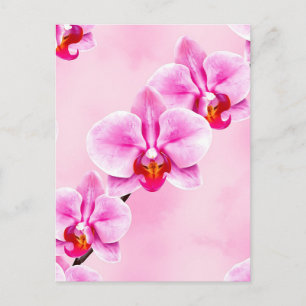 Cartão Postal Padrão de Orquídea Rosa Floral Tropical Pastel Sua