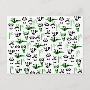 Cartão Postal Padrão de pandas engraçado