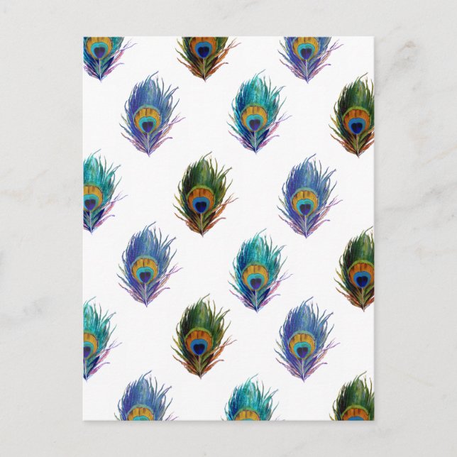 Cartão Postal Padrão de pena de peacock (Frente)