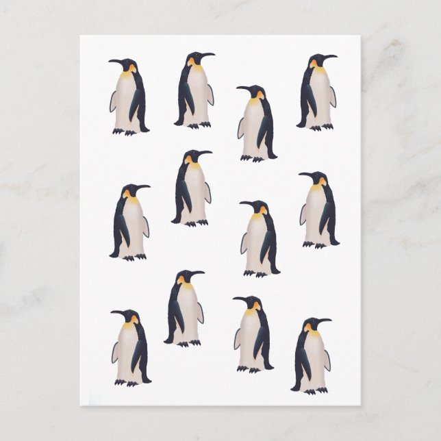 Cartão Postal Padrão de pinguins bonitos (Frente)