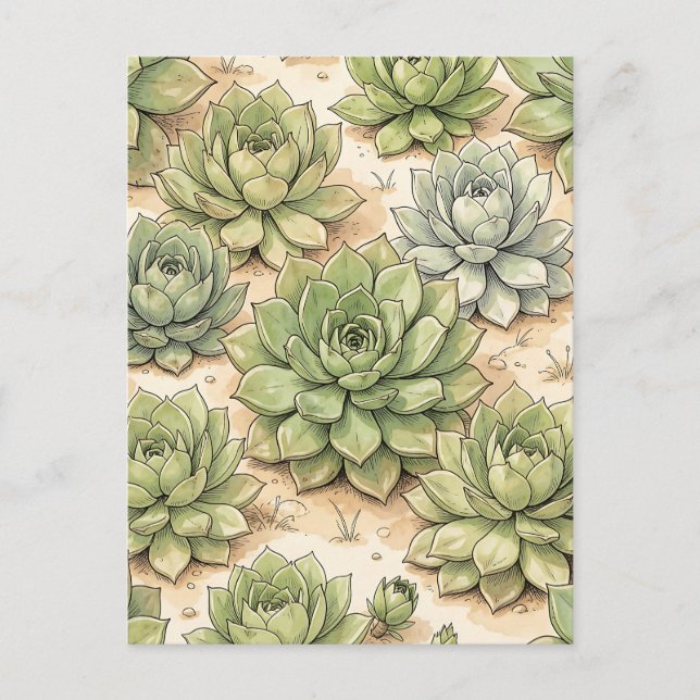 Cartão Postal Padrão de Roseta Suculenta Verde (Frente)