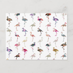 Cartão Postal Padrão Flamingos Retro Floral Girly Whimsical