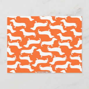 Cartão Postal Padrão Fofo de Dachshund Presente Perfeito para Am