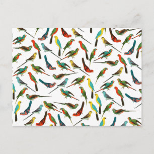 Cartão Postal Padrão legal de coloração aquática tropical co