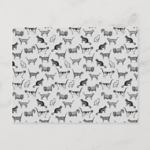 Cartão Postal Padrão Vintage Cats