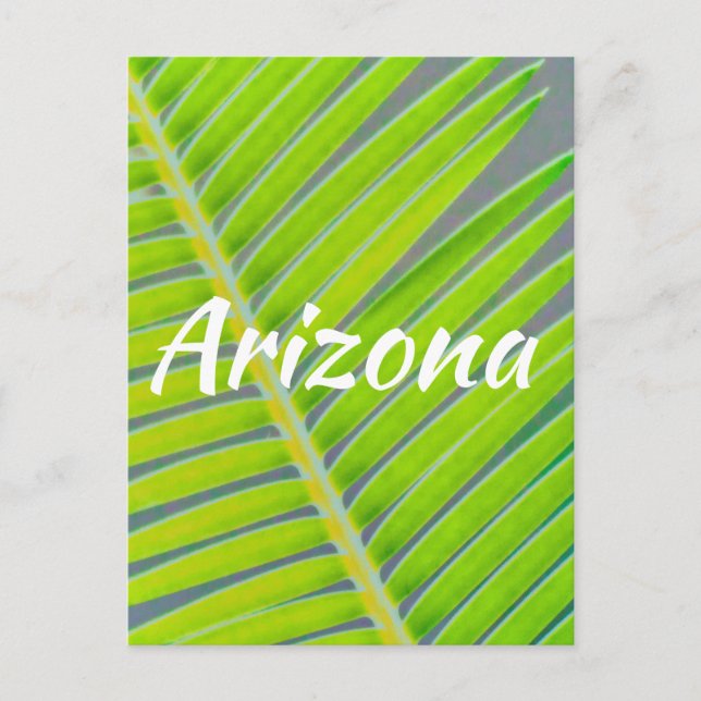 Cartão Postal Padrões de Palmas, Arizona (Frente)