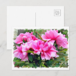 Cartão Postal Paeonia "Yachiyo-Tsubaki" [Cartão postal] ポ ス ト カ 
