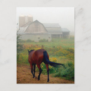 Cartão Postal Página inicial