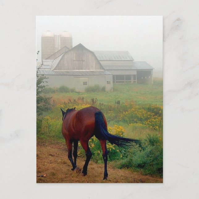 Cartão Postal Página inicial (Frente)