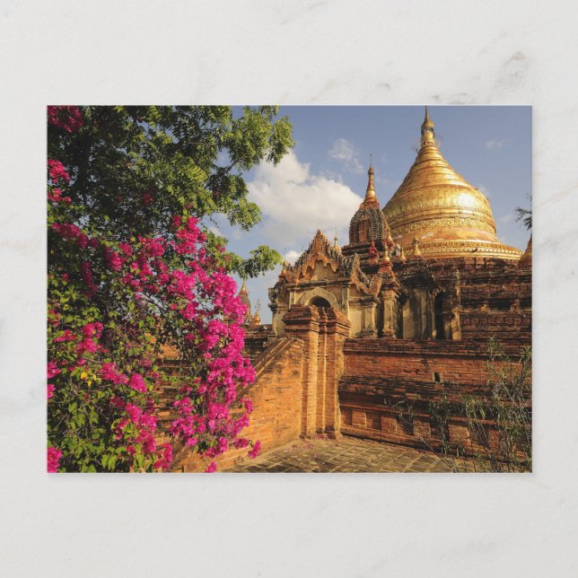 Cartão Postal Pagode Dhamma Yazaka em Bagan (Pagan), Mianmar (Frente)
