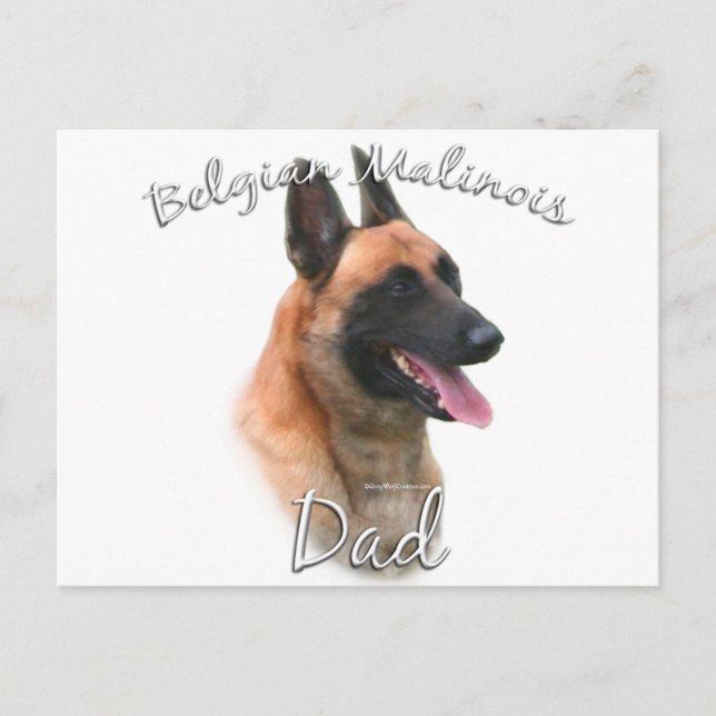 Cartão Postal Pai 2 da Bélgica Malinois (Frente)