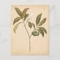 Painel I do Deco do Cobalto