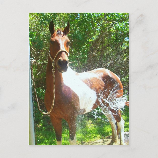 Cartão Postal Paint Bath (Frente)