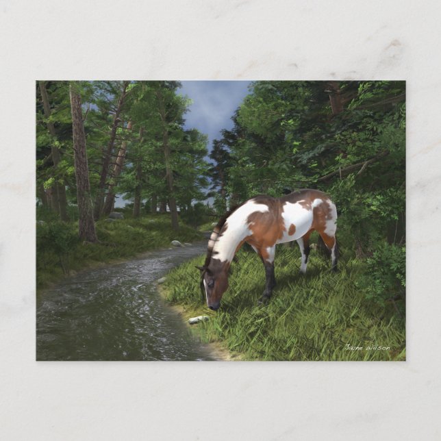 Cartão Postal Paint Horse by the Forest Stream (Frente)