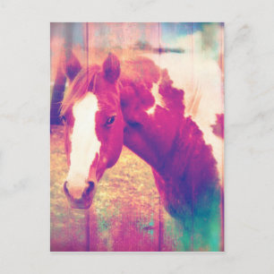 Cartão Postal Paint Horse Grunge