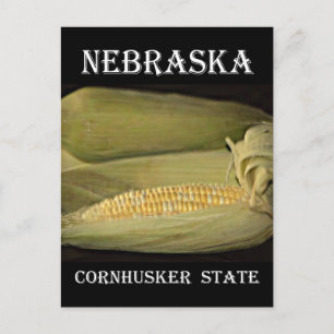 Cartão Postal País Cornhusker de Nebraska