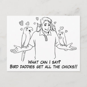 Cartão Postal Pais de pássaros recebem todos os pintinhos