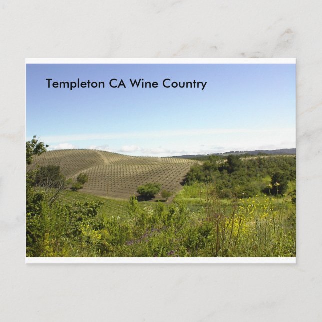 Cartão Postal País de Vinho da CA Templeton (Frente)