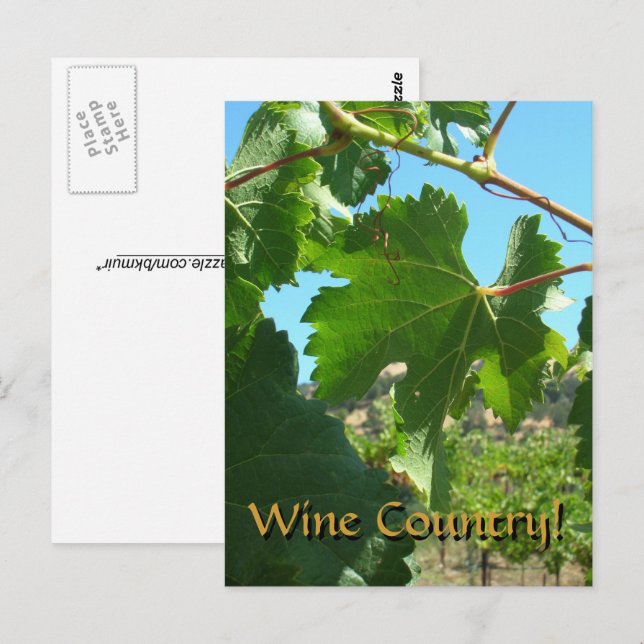 Cartão postal - País do Vinho (Frente/Verso)