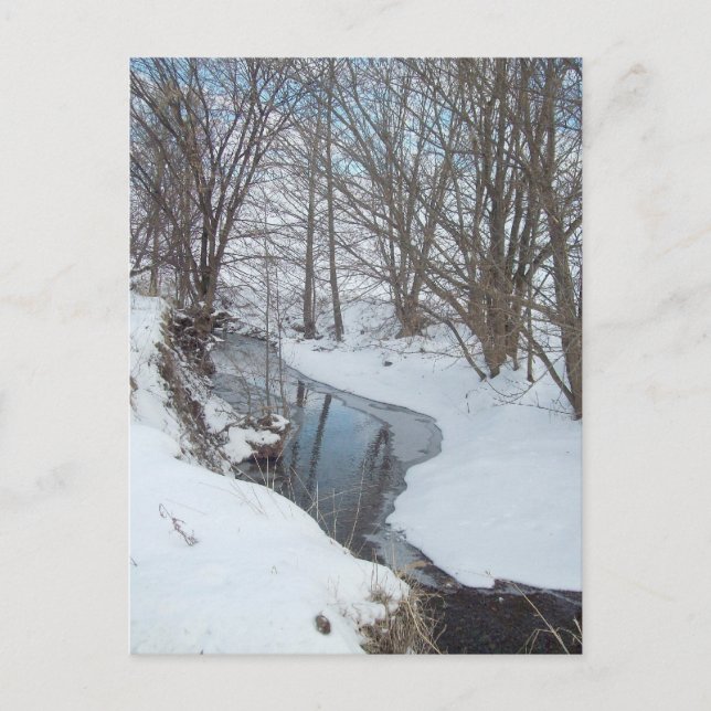 Cartão Postal País Neve (Frente)