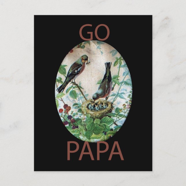 Cartão Postal Pais Parados, Pintinhos Preciosos: Uma História da (Frente)