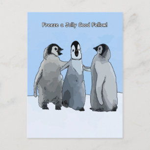Cartão Postal Pais Pinguins