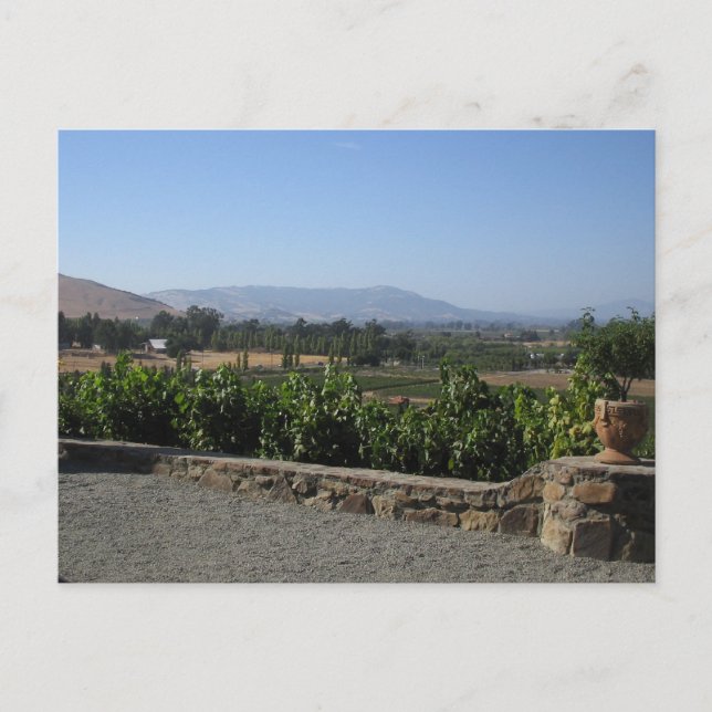 Cartão Postal País Vinho (Frente)